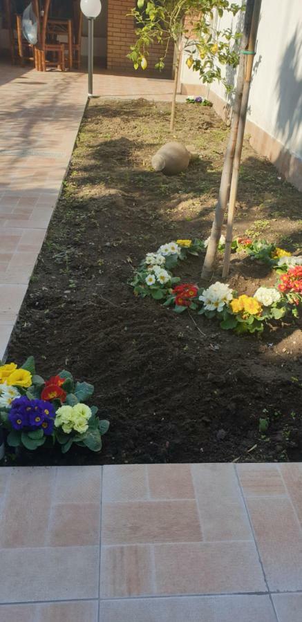 Casa Gialli คาตาเนีย ภายนอก รูปภาพ